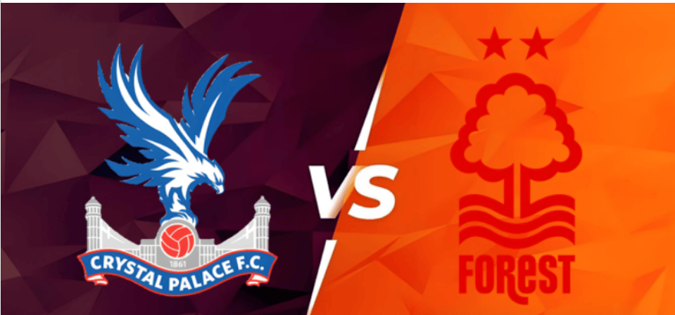 爱游戏网页版登录入口-水晶宫再难求胜，保级形势岌岌可危