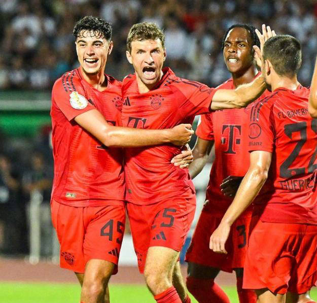 德国杯赛战绩亮眼,霍芬海姆晋级八强 德国杯赛战绩亮眼,霍芬海姆晋级八强