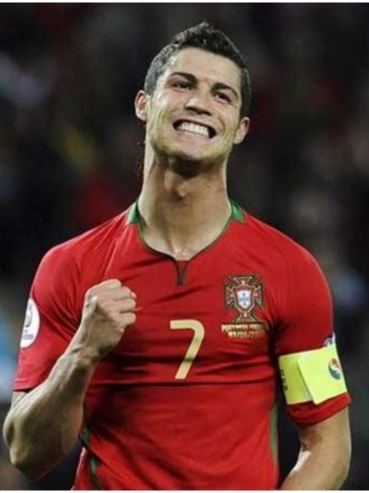 葡萄牙队在比赛中表现出色,获得胜利 葡萄牙队在比赛中表现出色,获得胜利